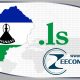 manage ls domains picture