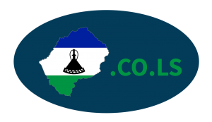 .ls domain name